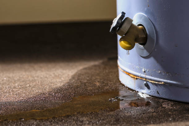 Sewage cleanup and water damage restoration in Whitney, SC