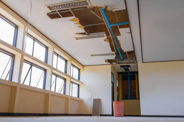 Best Commercial water damage restoration  in Whitney, SC