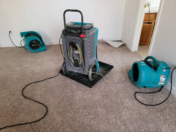 Whitney, SC Water damage restoration Company