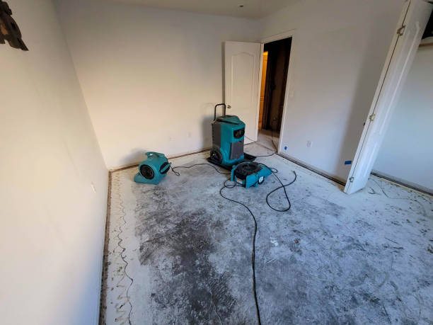 Best Water damage restoration near me  in Whitney, SC