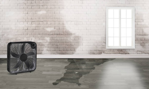 Best Water damage restoration process  in Whitney, SC