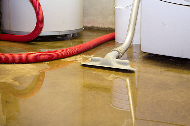 Best Local water damage restoration  in Whitney, SC
