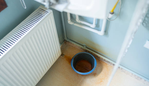 Best Professional water damage repair  in Whitney, SC