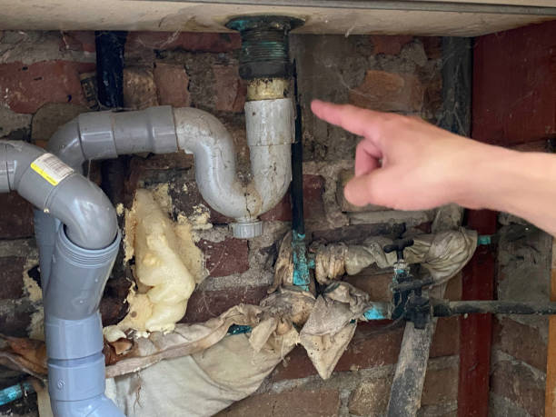 Best Sewage cleanup and water damage restoration  in Whitney, SC