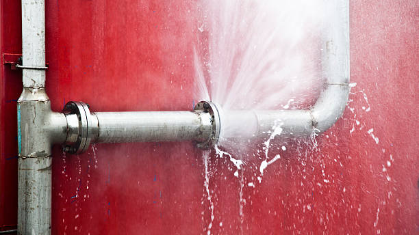 Best Fire Damage Restoration  in Whitney, SC